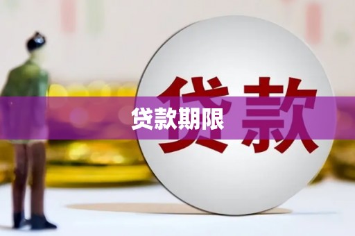 卓尼贷款期限