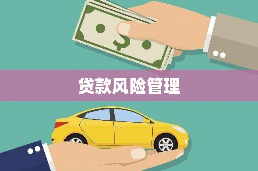 卓尼贷款风险管理