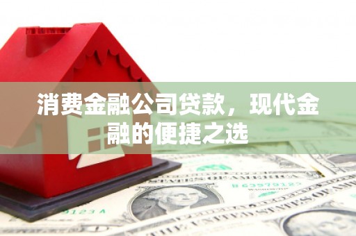 卓尼消费金融公司贷款，现代金融的便捷之选