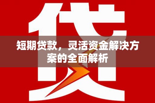 卓尼短期贷款，灵活资金解决方案的全面解析