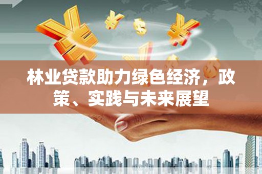 卓尼林业贷款助力绿色经济，政策、实践与未来展望