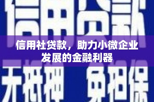 卓尼信用社贷款，助力小微企业发展的金融利器