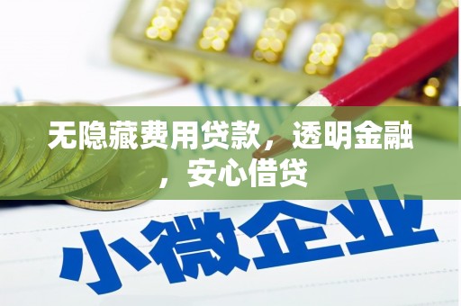 卓尼无隐藏费用贷款，透明金融，安心借贷