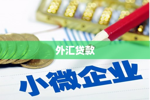 卓尼外汇贷款