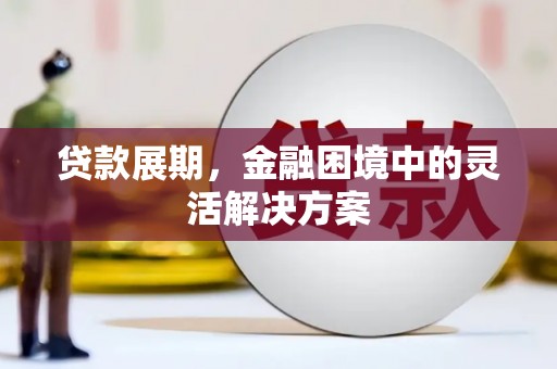 卓尼贷款展期，金融困境中的灵活解决方案