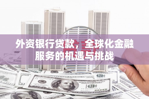 卓尼外资银行贷款，全球化金融服务的机遇与挑战