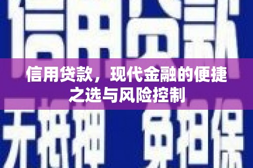 卓尼信用贷款，现代金融的便捷之选与风险控制