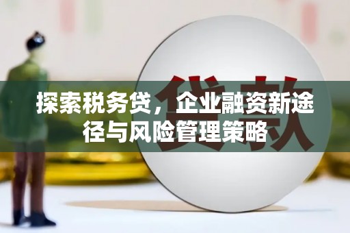 卓尼探索税务贷，企业融资新途径与风险管理策略
