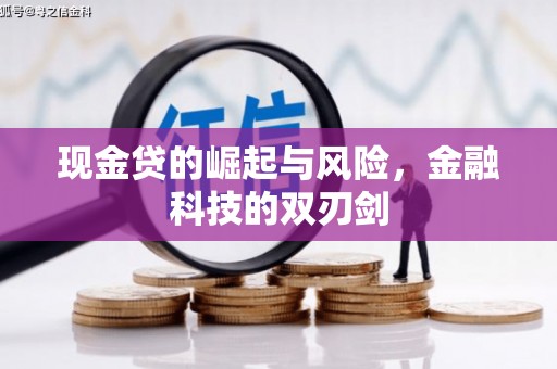 卓尼现金贷的崛起与风险，金融科技的双刃剑
