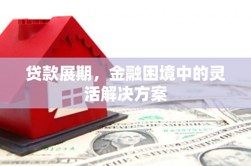 卓尼贷款展期，金融困境中的灵活解决方案