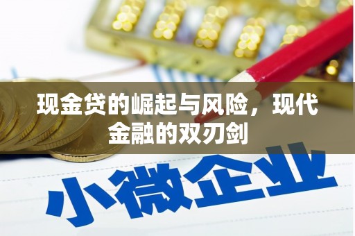 卓尼现金贷的崛起与风险，现代金融的双刃剑