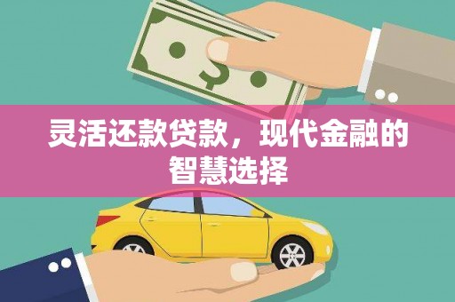 卓尼灵活还款贷款，现代金融的智慧选择