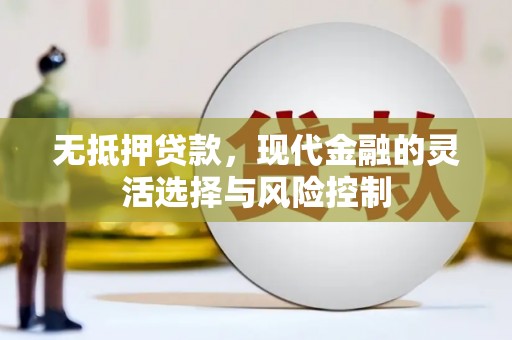 卓尼无抵押贷款，现代金融的灵活选择与风险控制