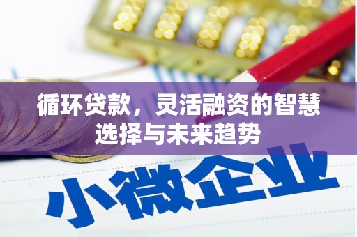 卓尼循环贷款，灵活融资的智慧选择与未来趋势