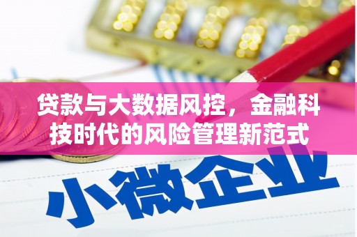 卓尼贷款与大数据风控，金融科技时代的风险管理新范式