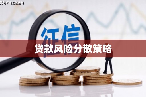 卓尼贷款风险分散策略