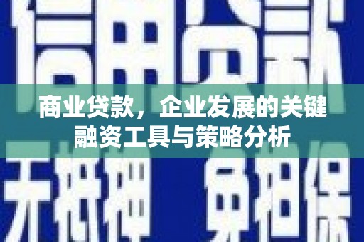 卓尼商业贷款，企业发展的关键融资工具与策略分析