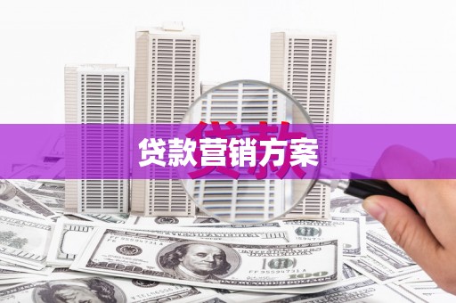 卓尼贷款营销方案