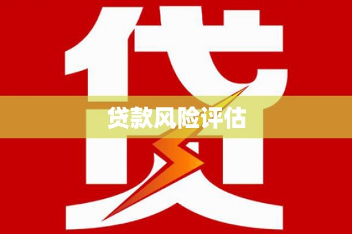 卓尼贷款风险评估