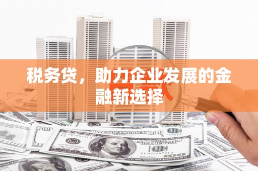 卓尼税务贷，助力企业发展的金融新选择