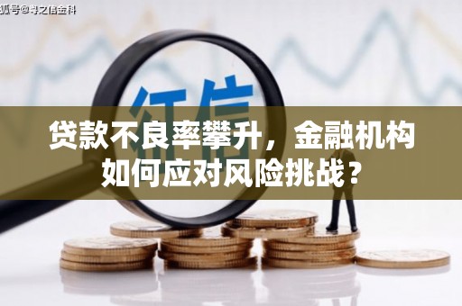 卓尼贷款不良率攀升，金融机构如何应对风险挑战？
