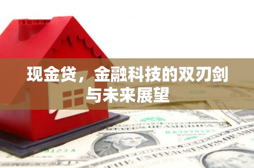 卓尼现金贷，金融科技的双刃剑与未来展望