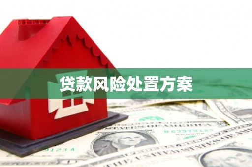 卓尼贷款风险处置方案