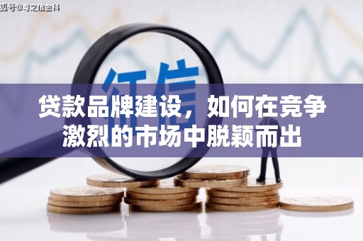 卓尼贷款品牌建设，如何在竞争激烈的市场中脱颖而出