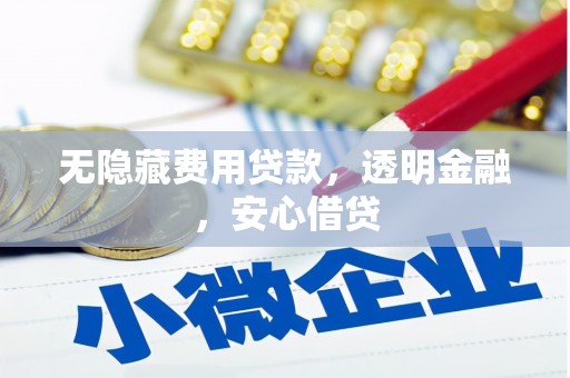 卓尼无隐藏费用贷款，透明金融，安心借贷