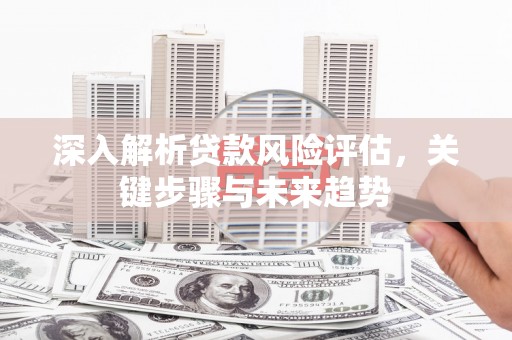 卓尼深入解析贷款风险评估，关键步骤与未来趋势