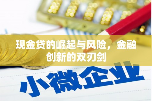 卓尼现金贷的崛起与风险，金融创新的双刃剑