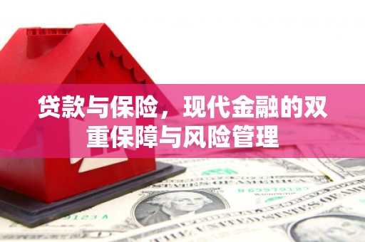 卓尼贷款与保险，现代金融的双重保障与风险管理