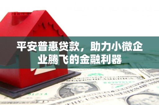 卓尼平安普惠贷款，助力小微企业腾飞的金融利器