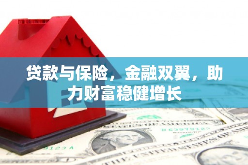 卓尼贷款与保险，金融双翼，助力财富稳健增长
