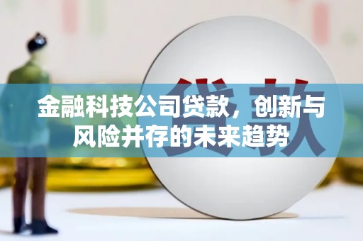 卓尼金融科技公司贷款，创新与风险并存的未来趋势