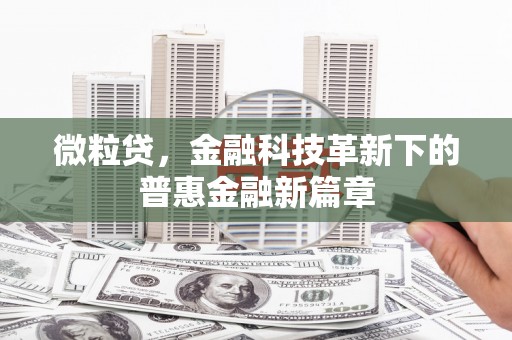 卓尼微粒贷，金融科技革新下的普惠金融新篇章