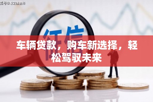 卓尼车辆贷款，购车新选择，轻松驾驭未来