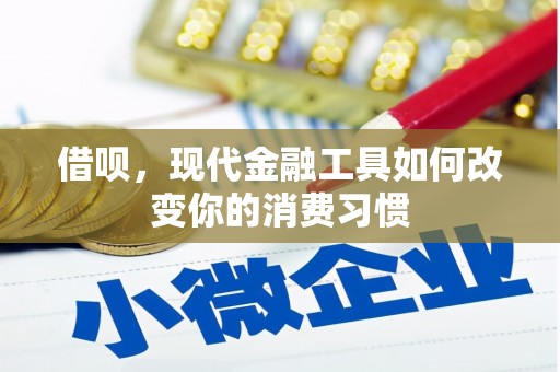 卓尼借呗，现代金融工具如何改变你的消费习惯