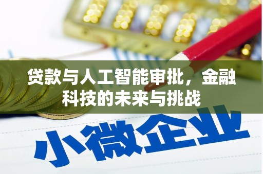 卓尼贷款与人工智能审批，金融科技的未来与挑战