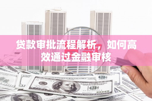 卓尼贷款审批流程解析，如何高效通过金融审核