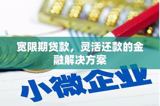 卓尼宽限期贷款，灵活还款的金融解决方案