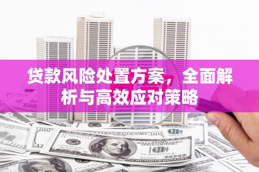 卓尼贷款风险处置方案，全面解析与高效应对策略