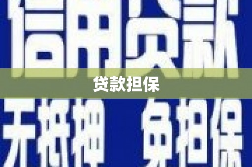 卓尼贷款担保