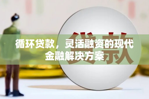 卓尼循环贷款，灵活融资的现代金融解决方案