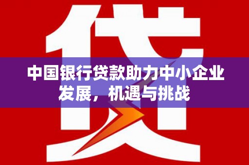 卓尼中国银行贷款助力中小企业发展，机遇与挑战