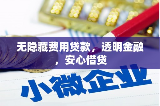 卓尼无隐藏费用贷款，透明金融，安心借贷