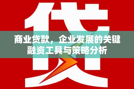 卓尼商业贷款，企业发展的关键融资工具与策略分析