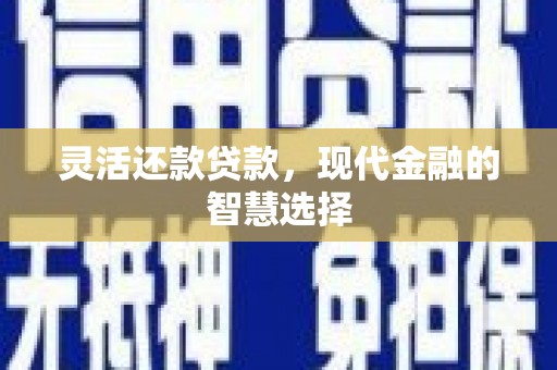 卓尼灵活还款贷款，现代金融的智慧选择