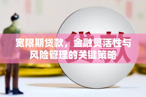 卓尼宽限期贷款，金融灵活性与风险管理的关键策略