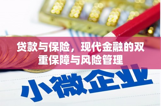 卓尼贷款与保险，现代金融的双重保障与风险管理